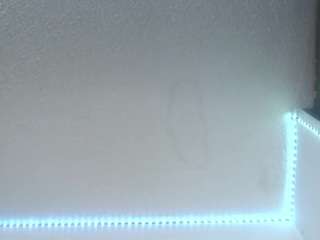 lorenitha19's live room
