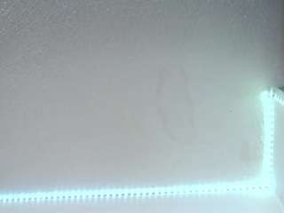 lorenitha19's live room