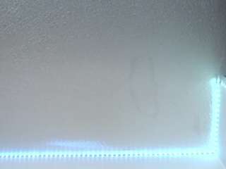 lorenitha19's live room