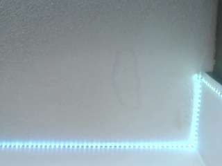 lorenitha19