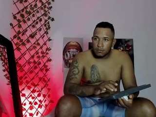 arthur-mini webcam model