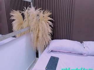 barbara-cambels webcam