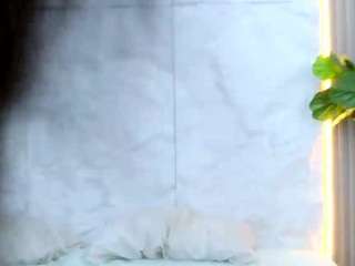 Lauren live cam preview