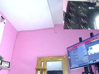 hillary-queen webcam