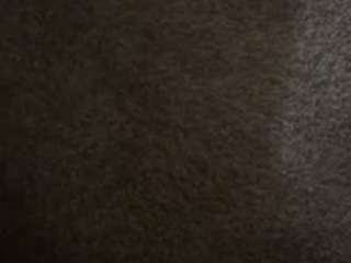 letsnuttogether4 webcam