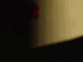 ivannafisher camsoda