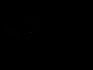 wildndangerous webcam