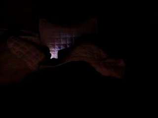 wildndangerous webcam