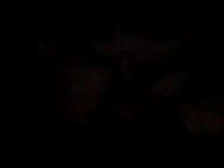wildndangerous webcam