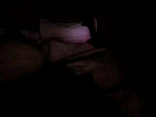 wildndangerous webcam