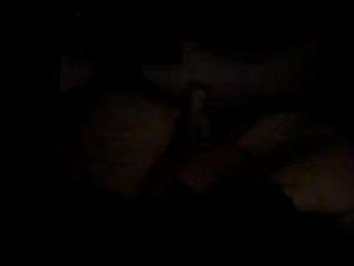 wildndangerous webcam