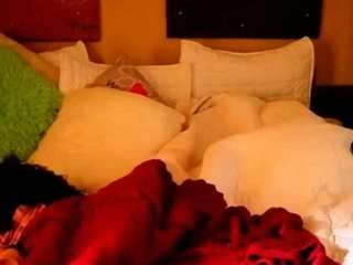 wildndangerous webcam