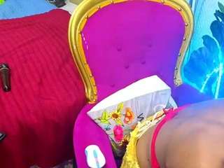 wildndangerous webcam