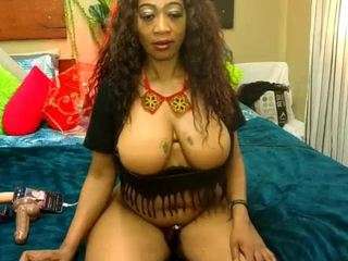 wildndangerous webcam