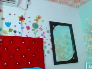 viky-sky webcam