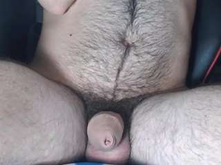 lapijarg webcam model