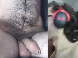 lapijarg Sex Cam Show