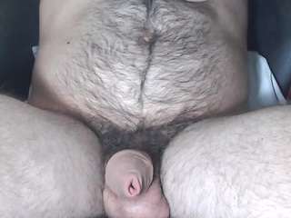 lapijarg live webcam show