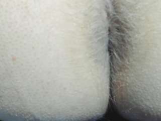 naughtymistress webcam