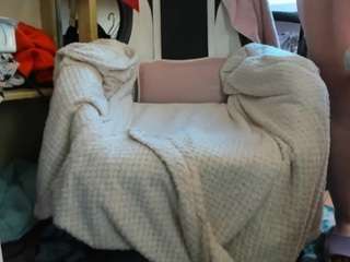 naughtymistress webcam model