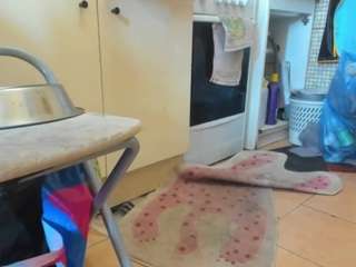 Naughtymistress's cam show statistics and live stream