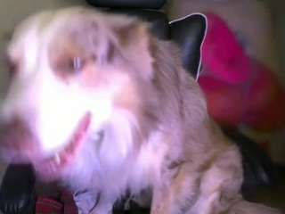 Layla Nicols