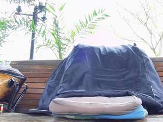 mellysquirtybiglabia webcam