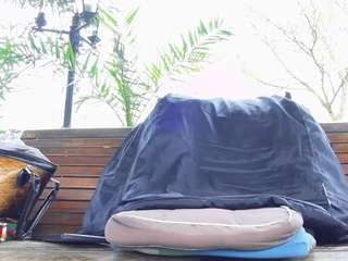 mellysquirtybiglabia webcam