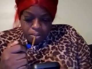 420wildcard webcam model