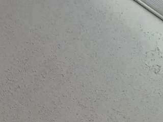 420wildcard webcam