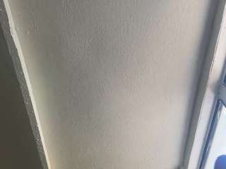 420wildcard live webcam show