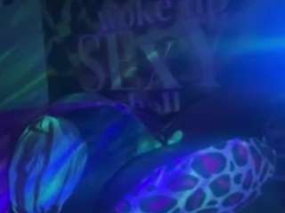 sliver fox pussy live webcam show