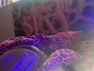 sliver fox pussy live webcam show