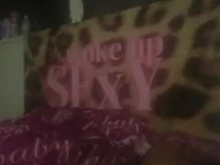 sliver fox pussy