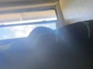 420wildcard