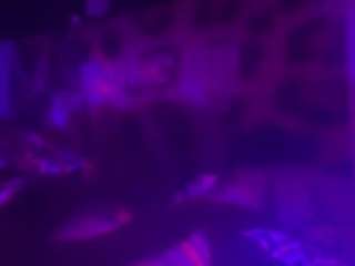 420wildcard's cam show statistics and live stream