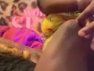 WHO LOVES FEET live cam preview