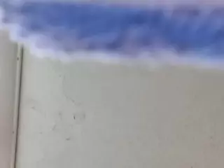 BLACK PUSSYS MATTERS's Live Sex Cam Show