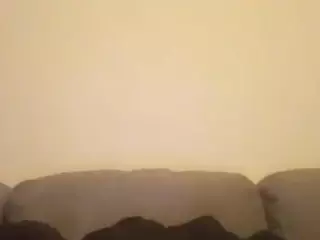 BLACK PUSSYS MATTERS's Live Sex Cam Show