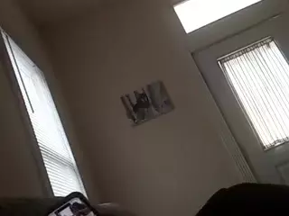 BLACK PUSSYS MATTERS's Live Sex Cam Show