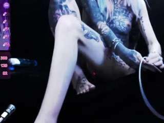 typhoidmary
