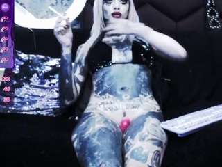 typhoidmary