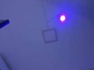 evasingh webcam model