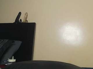 glazedbunzz
