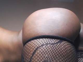 GlazedBunzz