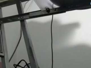 pame25cmcock