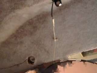 alice-practice webcam model