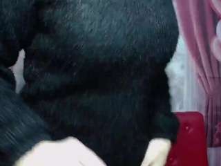 emiliagree