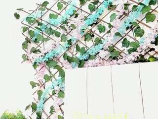 lexibloom webcam