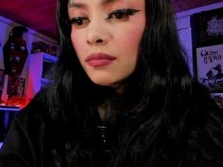 HeraInk live cam preview